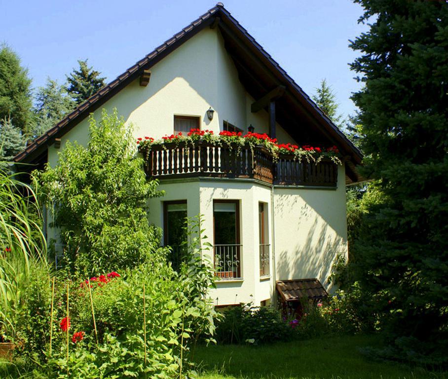 Ferienwohnung Ginkgo เดรสเดน ห้อง รูปภาพ